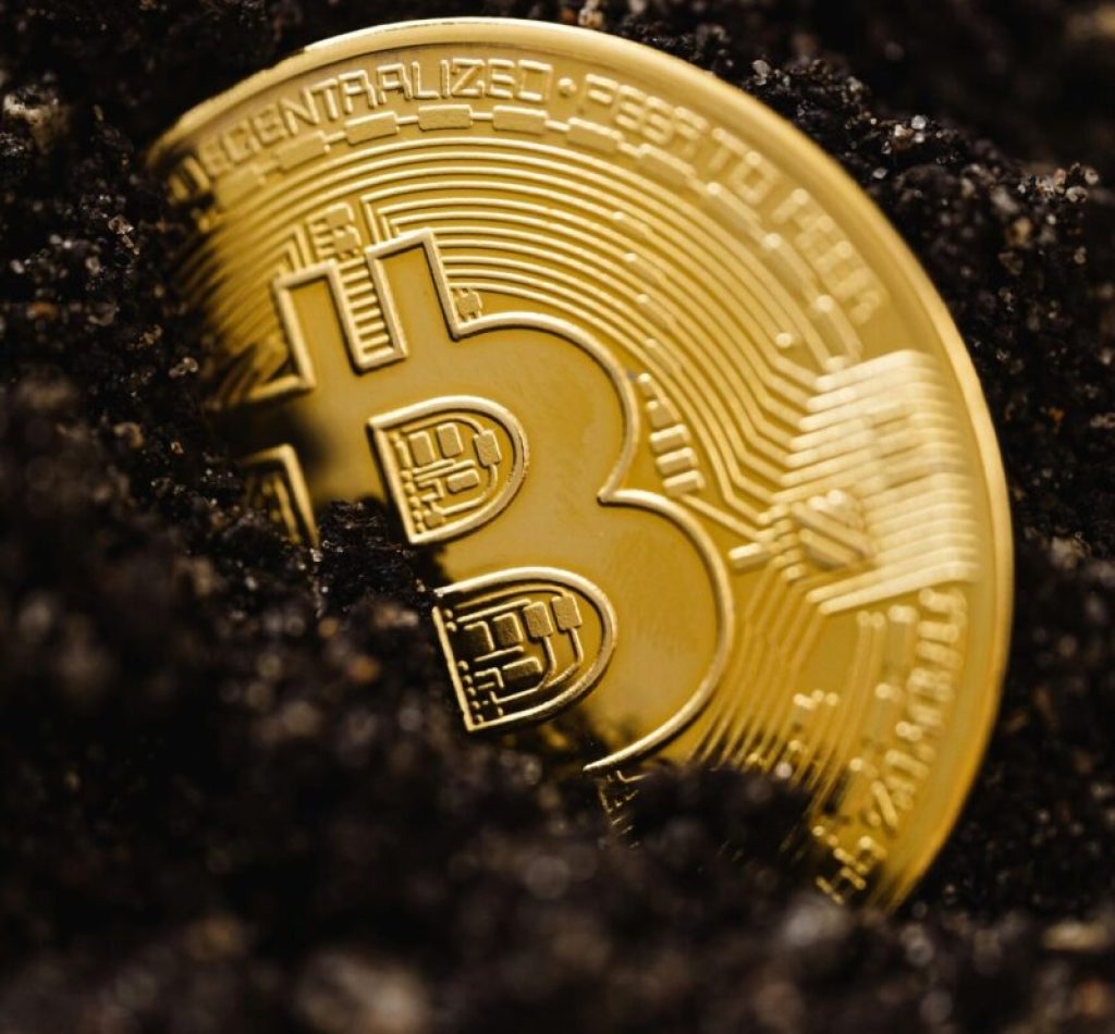Close-up of a gold Bitcoin coin emerging from dark soil, representing digital currency growth.